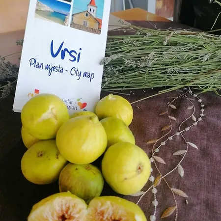 Lydia Vrsi